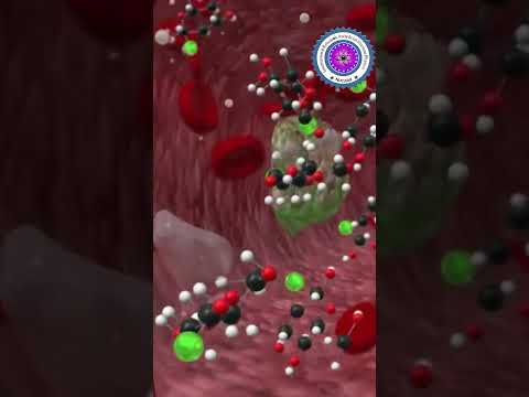 The Science Behind PET Scans | Nuclear Physics